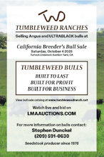 TUMBLEWEED RANCHES SELLING ANGUS AND ULTRABLACK BULLS